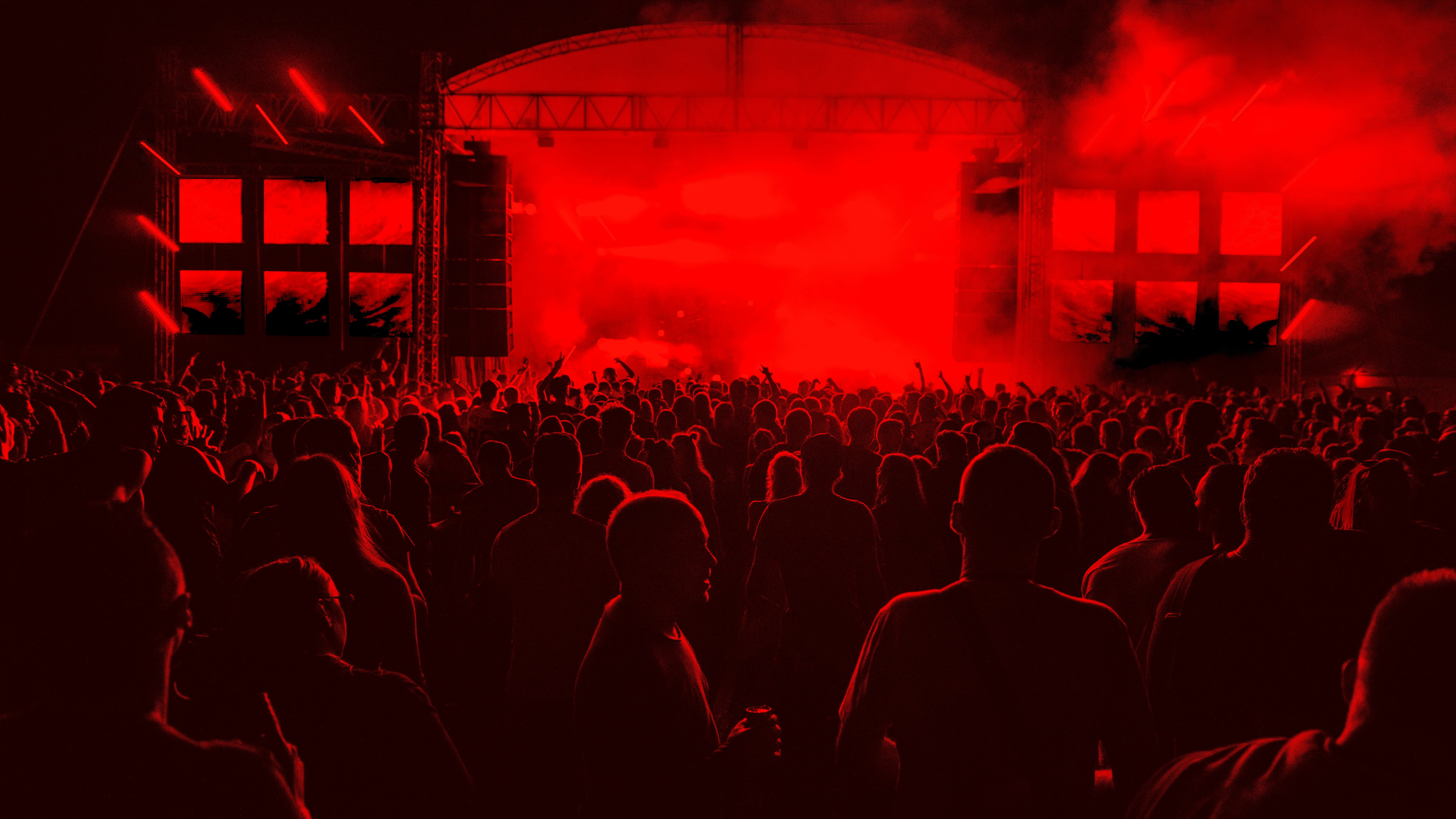 concert crowd